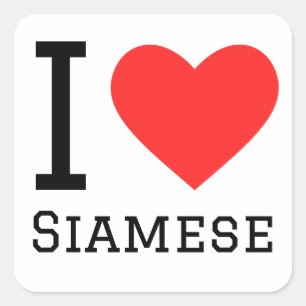 I kärlek Siamese Fyrkantigt Klistermärke