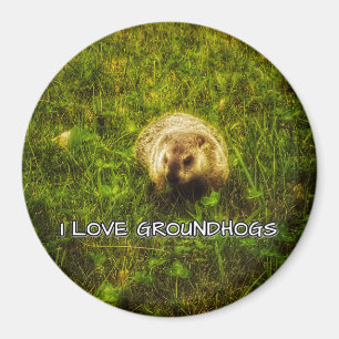 I kärlek-sjögräsmattor magnet