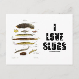 I Kärlek Slugs (naturvetenskap/natur) Vykort