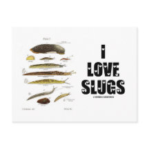 I Kärlek Slugs (naturvetenskap/natur)