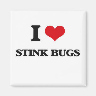 I Kärlek Stink Kryp Magnet