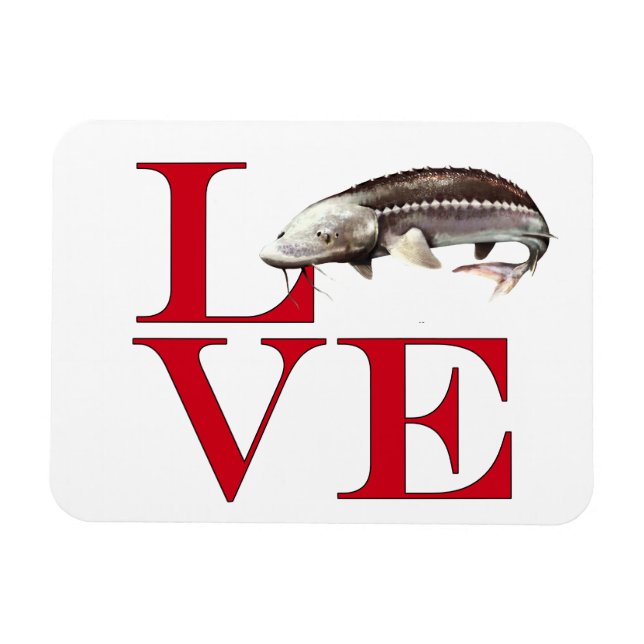 I Kärlek Sturgeon Magnet (Horisontell)