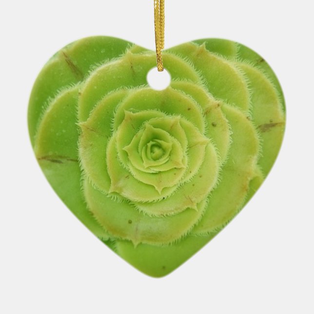 I Kärlek Succulents Grönt Heart Ornament (Framsidan)