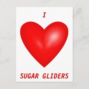 I Kärlek Sugar Gliders Vykort