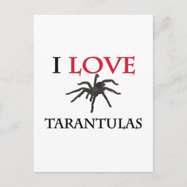 I Kärlek Tarantulas Vykort (Framsida)