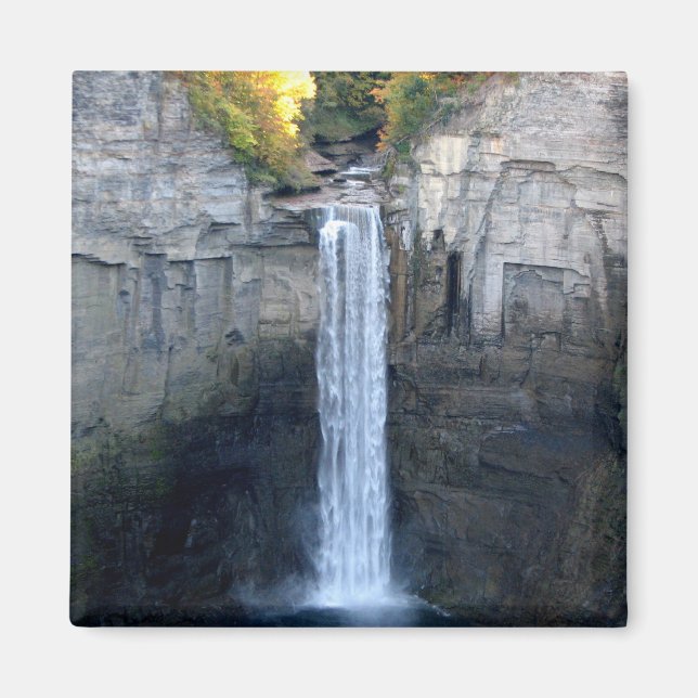 I kärlek Taughannock Falls Magnet (Framsidan)