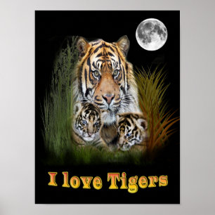 I kärlek Tigers Poster