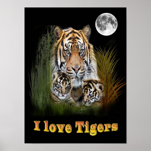 I kärlek Tigers Poster (Framsidan)