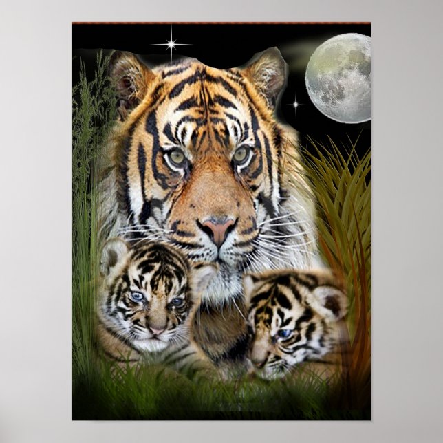 I kärlek Tigers Poster (Framsidan)