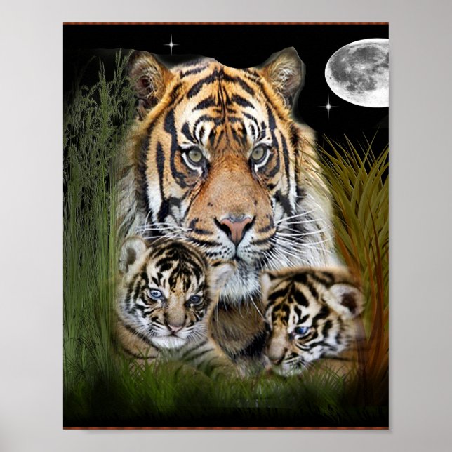 I kärlek Tigers Poster (Framsidan)