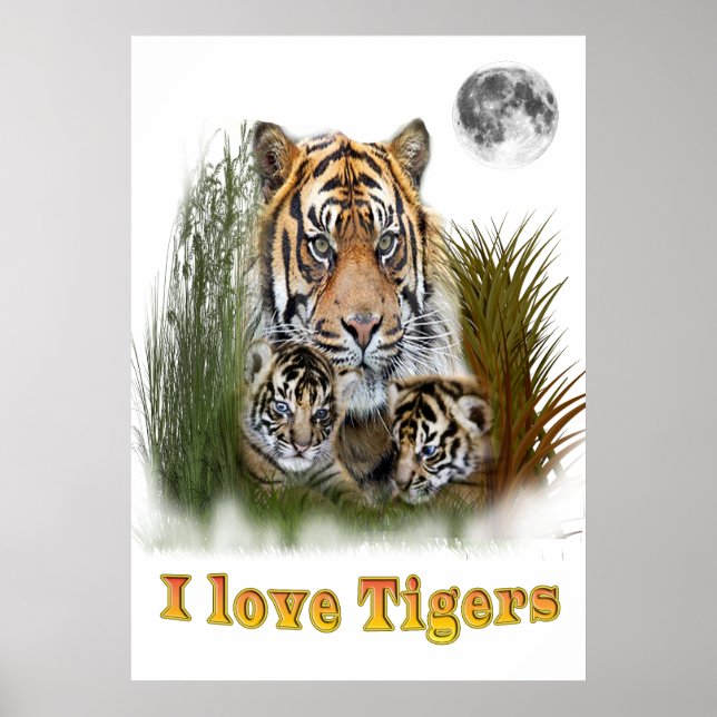 I kärlek tigrar poster (Framsidan)