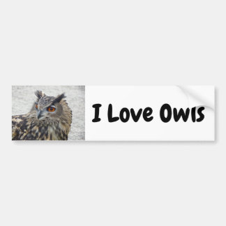 I Kärlek Uggla Bumper Sticker Bildekal