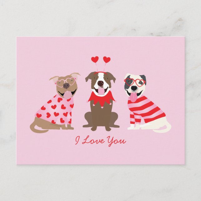 I Kärlek Valentineser American Pit Bull Terriers Vykort (Framsida)