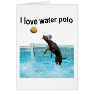 I kärlek vatten polo OBS kort