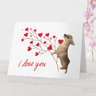 I Kärlek You Chihuahua Card Kort