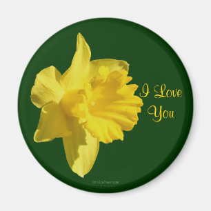 I Kärlek You Daffodil Flower Photo Magnet