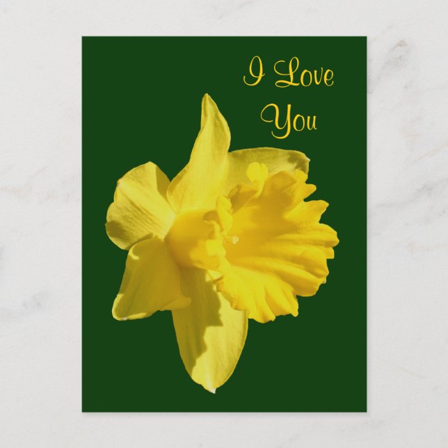 I Kärlek You Daffodil Flower Photo Postcard Vykort (Framsida)