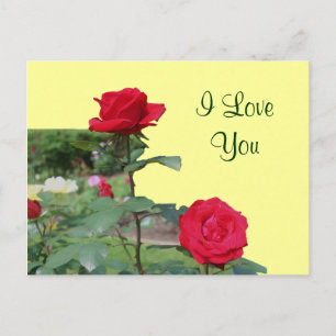 I Kärlek You Röd ros Flower Photo Postcard Vykort
