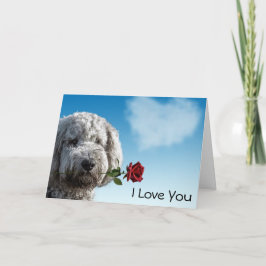 I Kärlek You Röd ros Kort