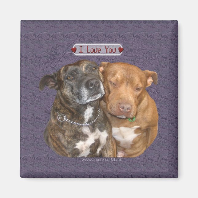 I Kärlek You Snuggling Staffys Magnet (Framsidan)