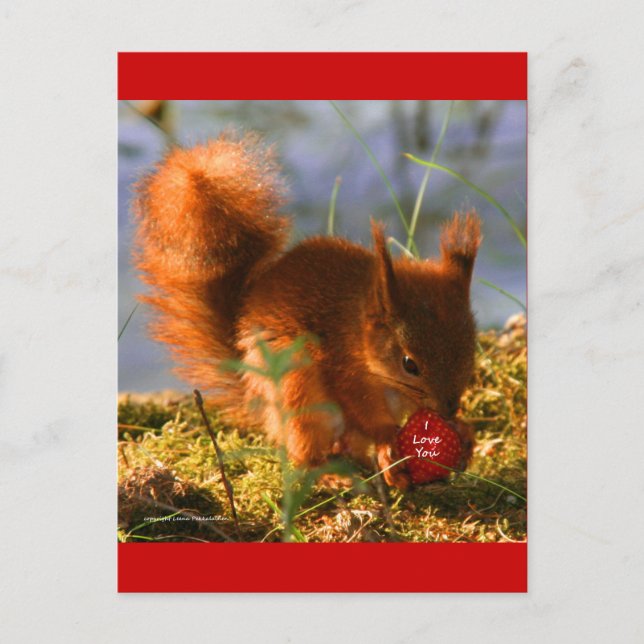 I Kärlek You Strawberry Vykort (Framsida)