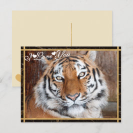 I Kärlek You Tiger Photo Image Vykort