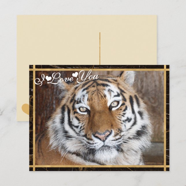 I Kärlek You Tiger Photo Image Vykort (Fram/baksida)