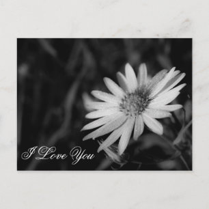 I Kärlek You Vykort