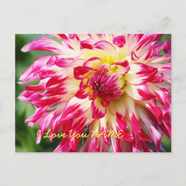 I Kärlek You Vykort (Framsida)