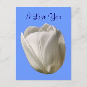I Kärlek You White Tulip Flower Fotovykort Vykort