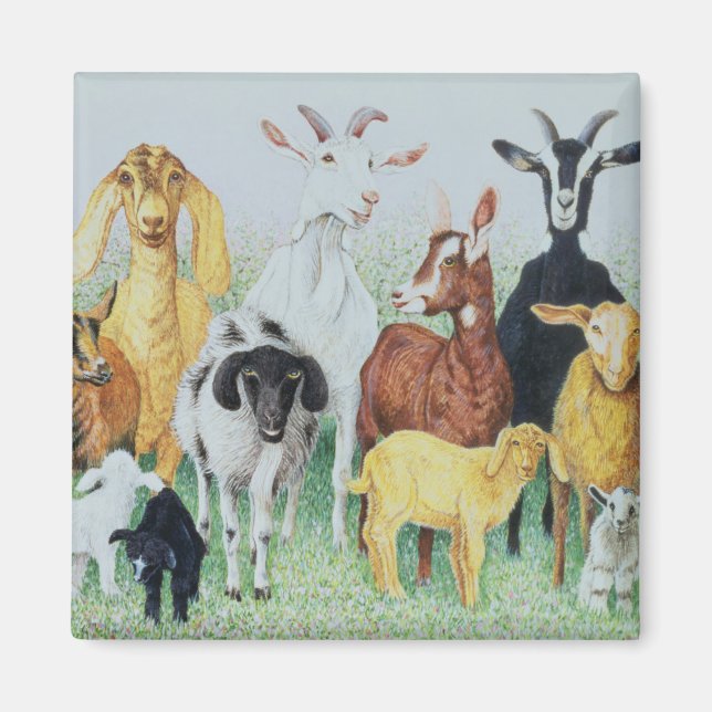 I KLÖVER MAGNET (Framsidan)