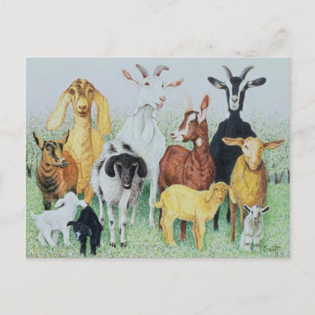 I KLÖVER VYKORT (Framsida)