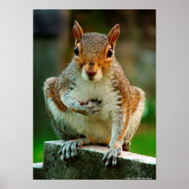 "I Kor mitt hjärta" Poster