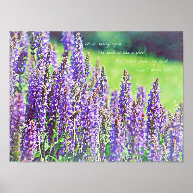 i LILA Poster (Framsidan)