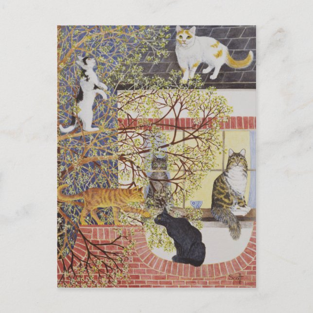 I Limelight Vykort (Framsida)