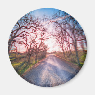 I ljuset magnet