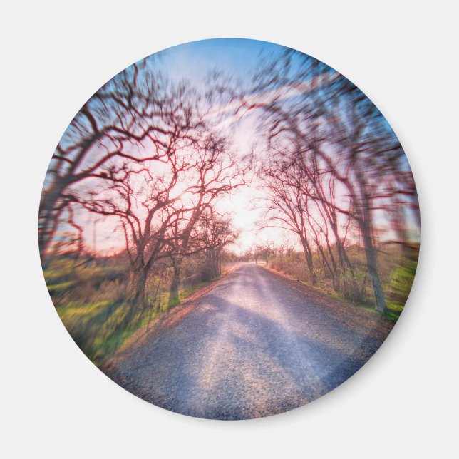 I ljuset magnet (Framsidan)