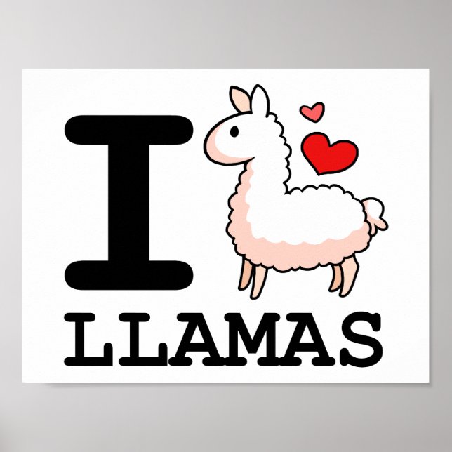 I Llama Llamas Poster (Framsidan)