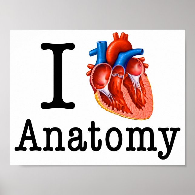 I love Anatomy Poster (Framsidan)