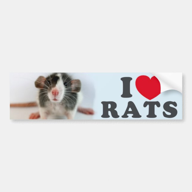 I love (blazed) Rats Bildekal (Framsidan)