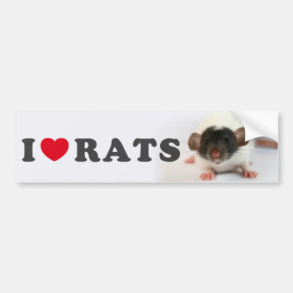 I love (cute) Rats Bildekal