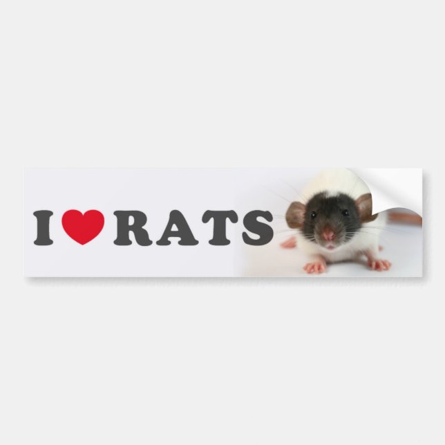 I love (cute) Rats Bildekal (Framsidan)
