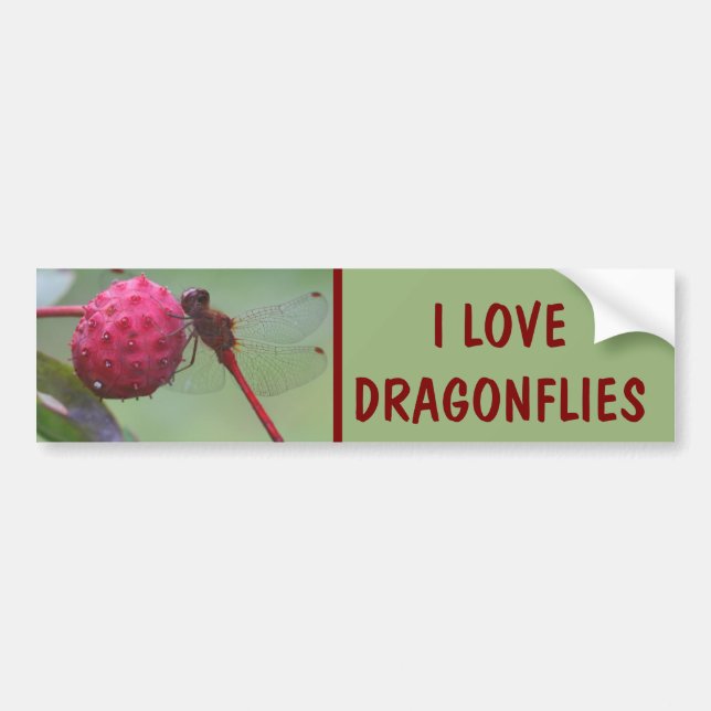I Love Dragonflies Nature Bildekal (Framsidan)