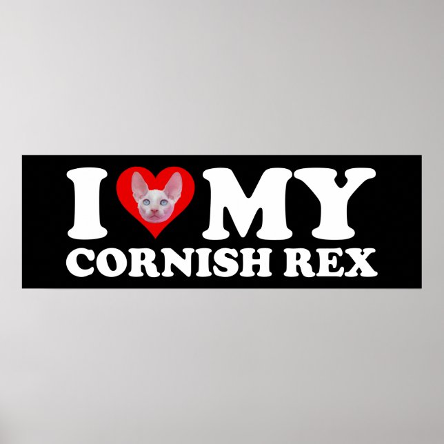 I Love (Heart) My Cornish Rex Poster (Framsidan)
