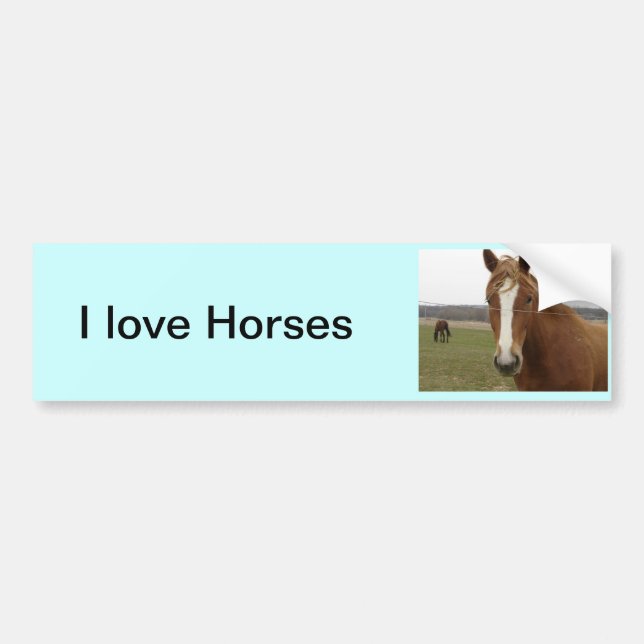 I love Horses Bumper Sticker Bildekal (Framsidan)