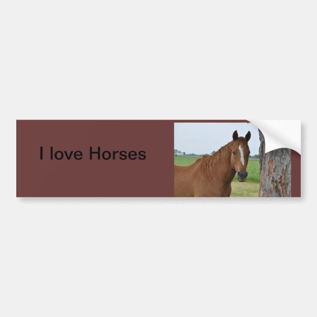 I love Horses Bumper Sticker Bildekal (Framsidan)
