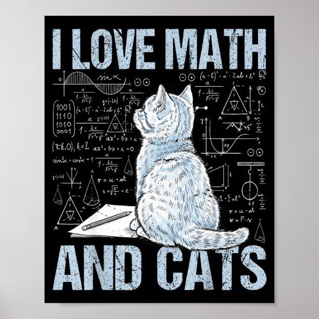 I Love Math And Cats Science Teacher Student Funny Poster (Framsidan)