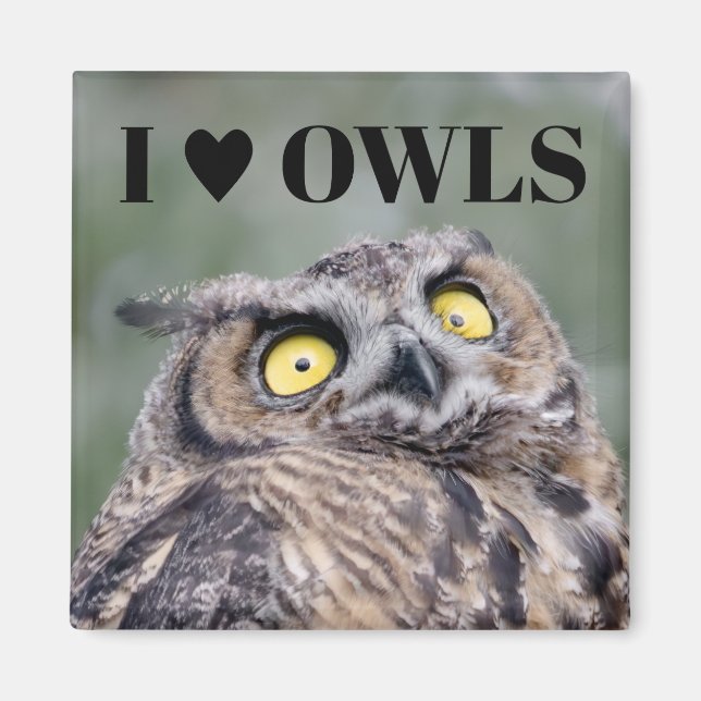 I Love Owls Magnet (Framsidan)