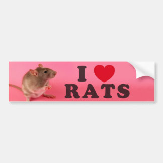 I love Rats (in pink) Bildekal