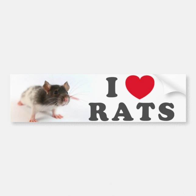 I love (variegated) Rats Bildekal (Framsidan)